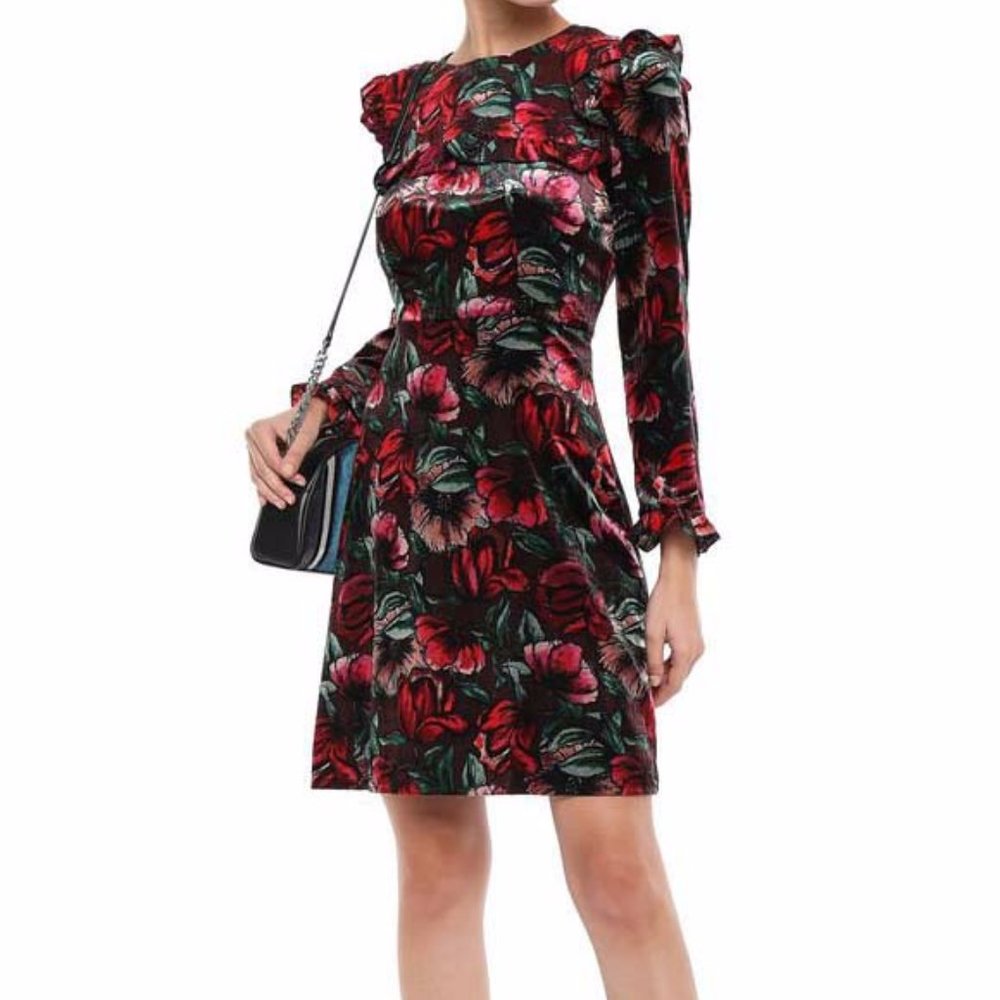 Sandro Floral Velvet Dress